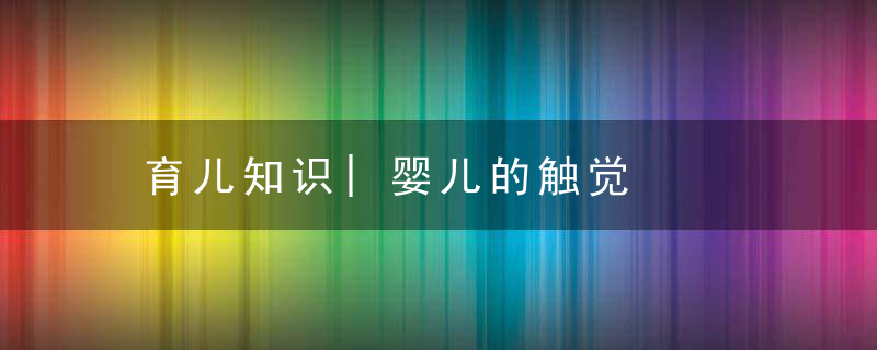 育儿知识|婴儿的触觉